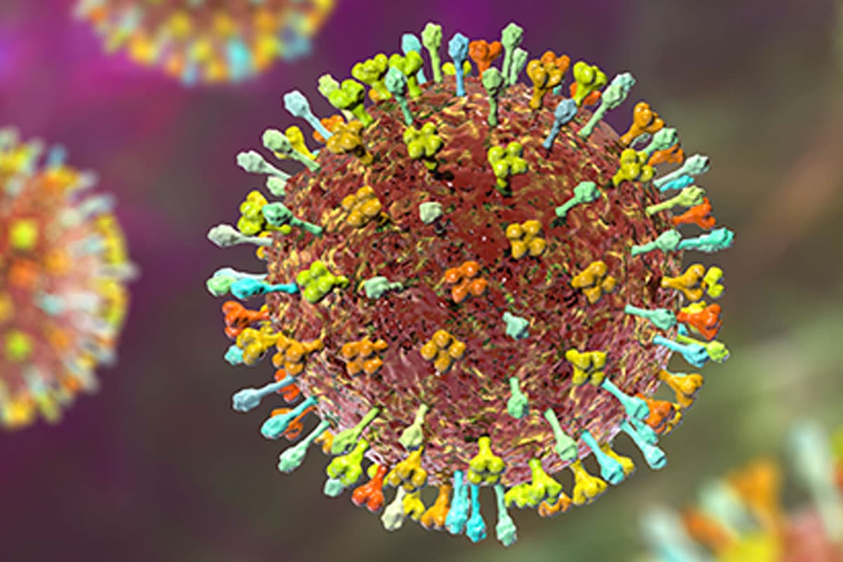 Belum Ada Kasus di RI, Kemenkes Tetap Tingkatkan Kewaspadaan Virus Nipah